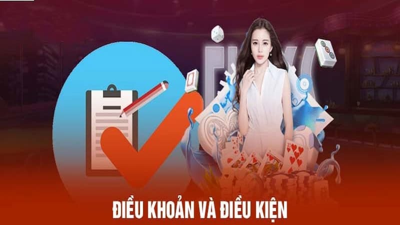 Lưu ý khi chấp nhận điều khoản điều kiện Saobet